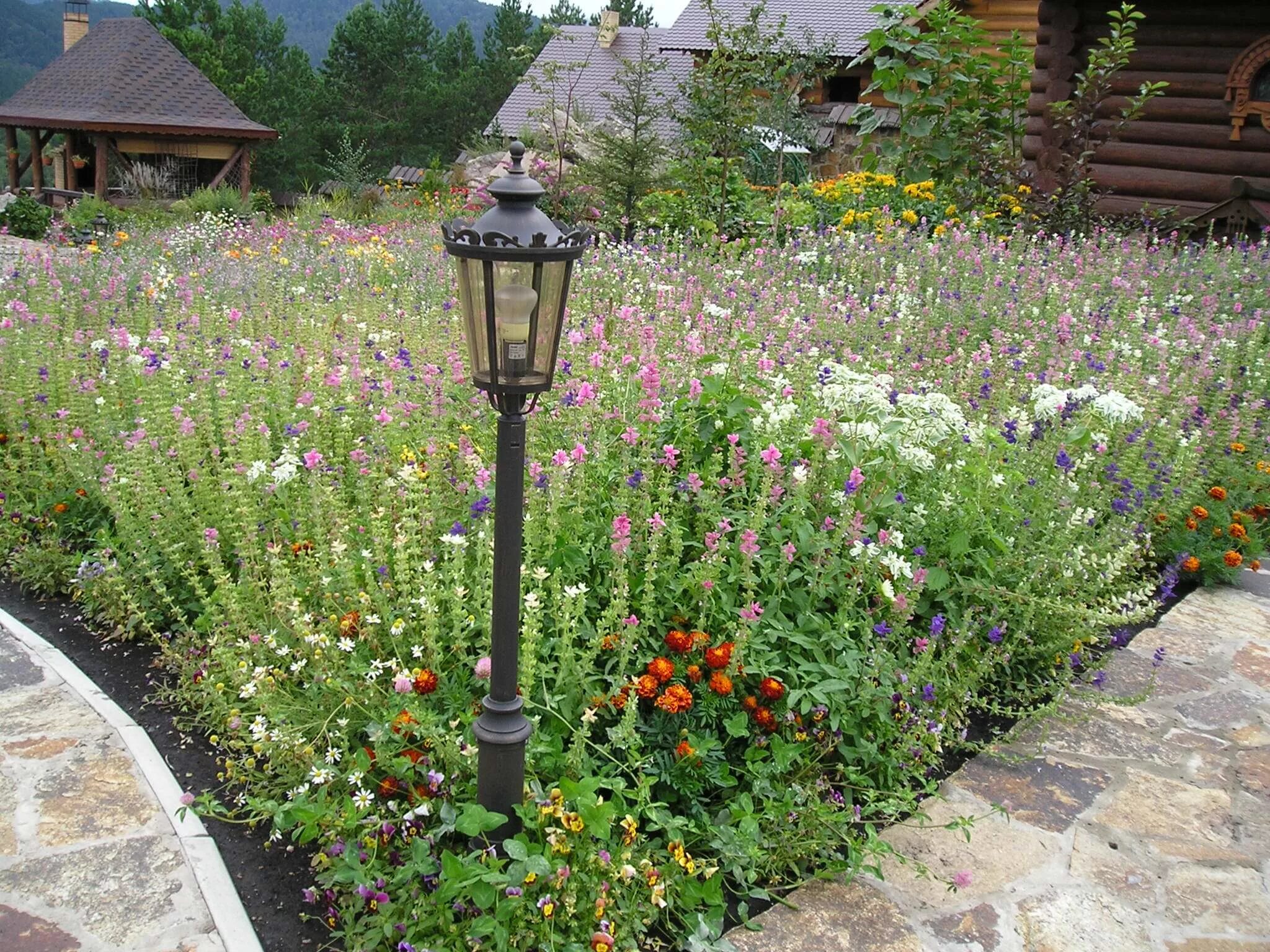 Image detail for -Flower Beds In Formal Garden Royalty Free Stock Photo, Picture