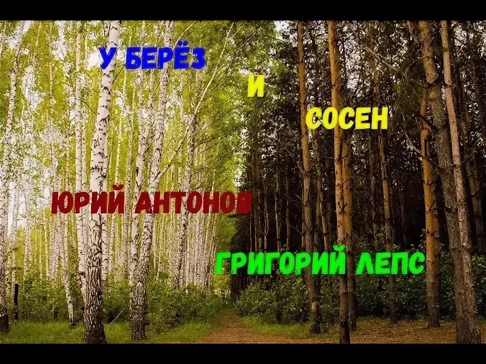 Застряли между сосен песня. Песня Лепса у берез и сосен. Лепс у берез и сосен слушать.