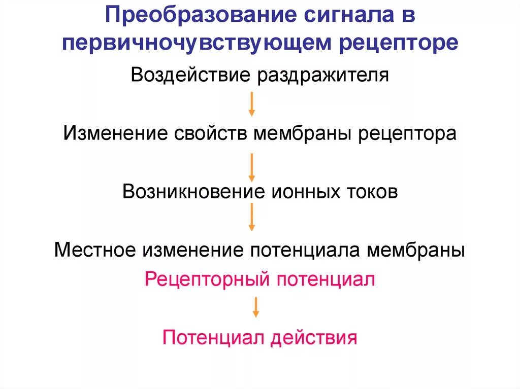 Преобразование внешнего. Преобразование внешнего