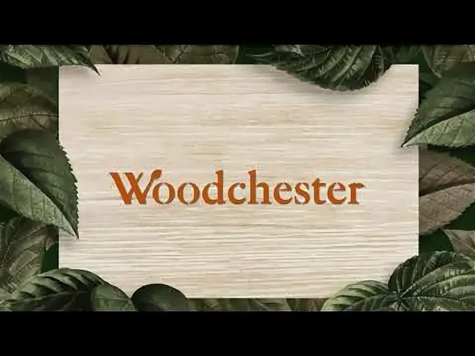 Life in woodchester андроид. Life in Woodchester. What is Life in Woodchester.