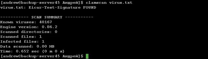 Вирус txt. Virus. Txt. Вирусы но txt. СКЗУ тхт. Txt описание