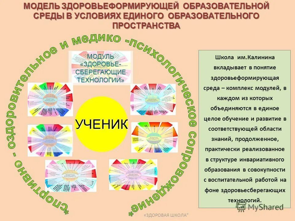 Составить план обучения пациента. Выпуск газеты здоровье. План программа школы здоровья. Целевая комплексная программа. План здорового образа жизни.