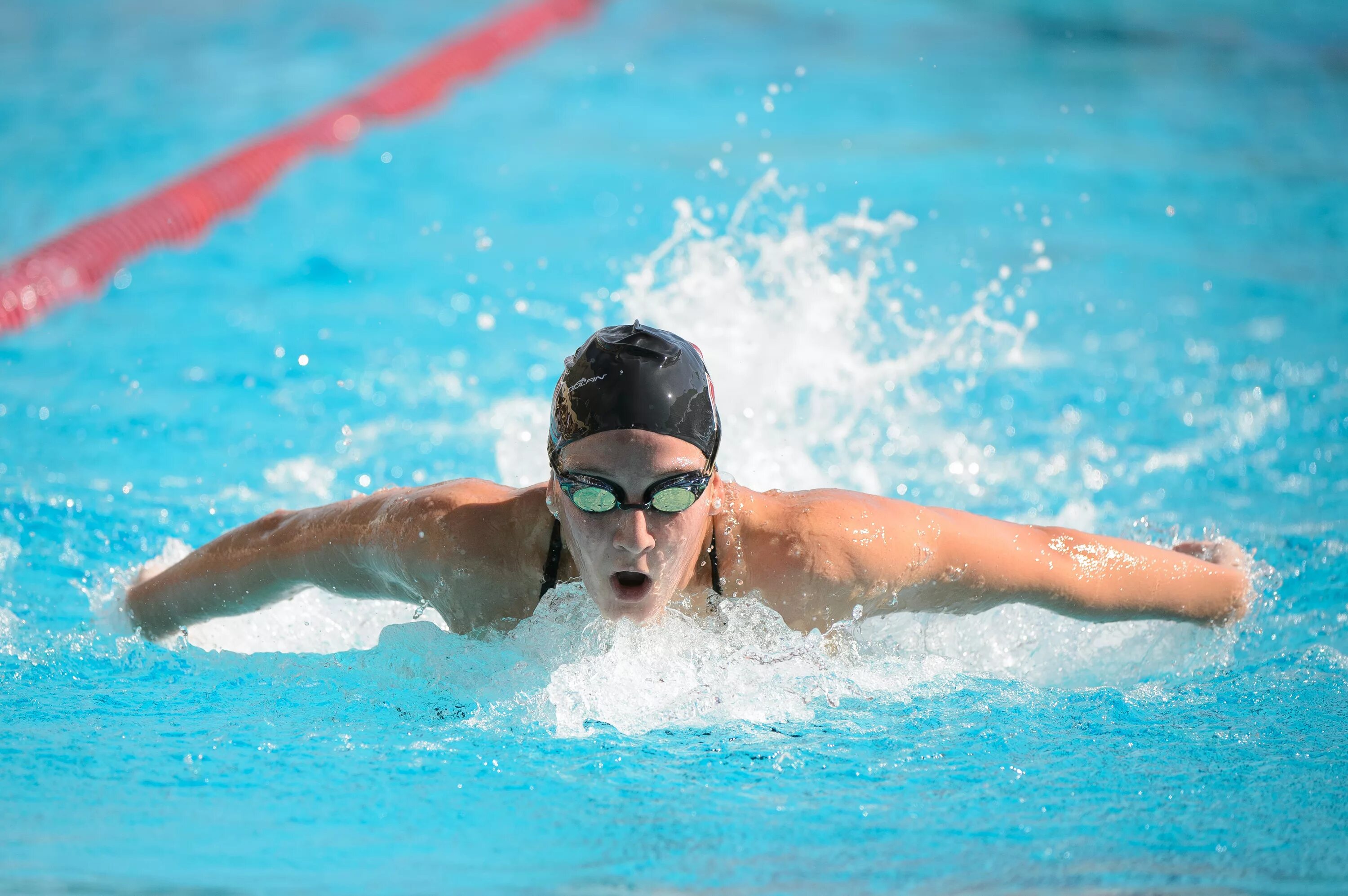 Swimming lv. Пловец в бассейне. Swimming lv. Пловец спинист. Swimming lv.