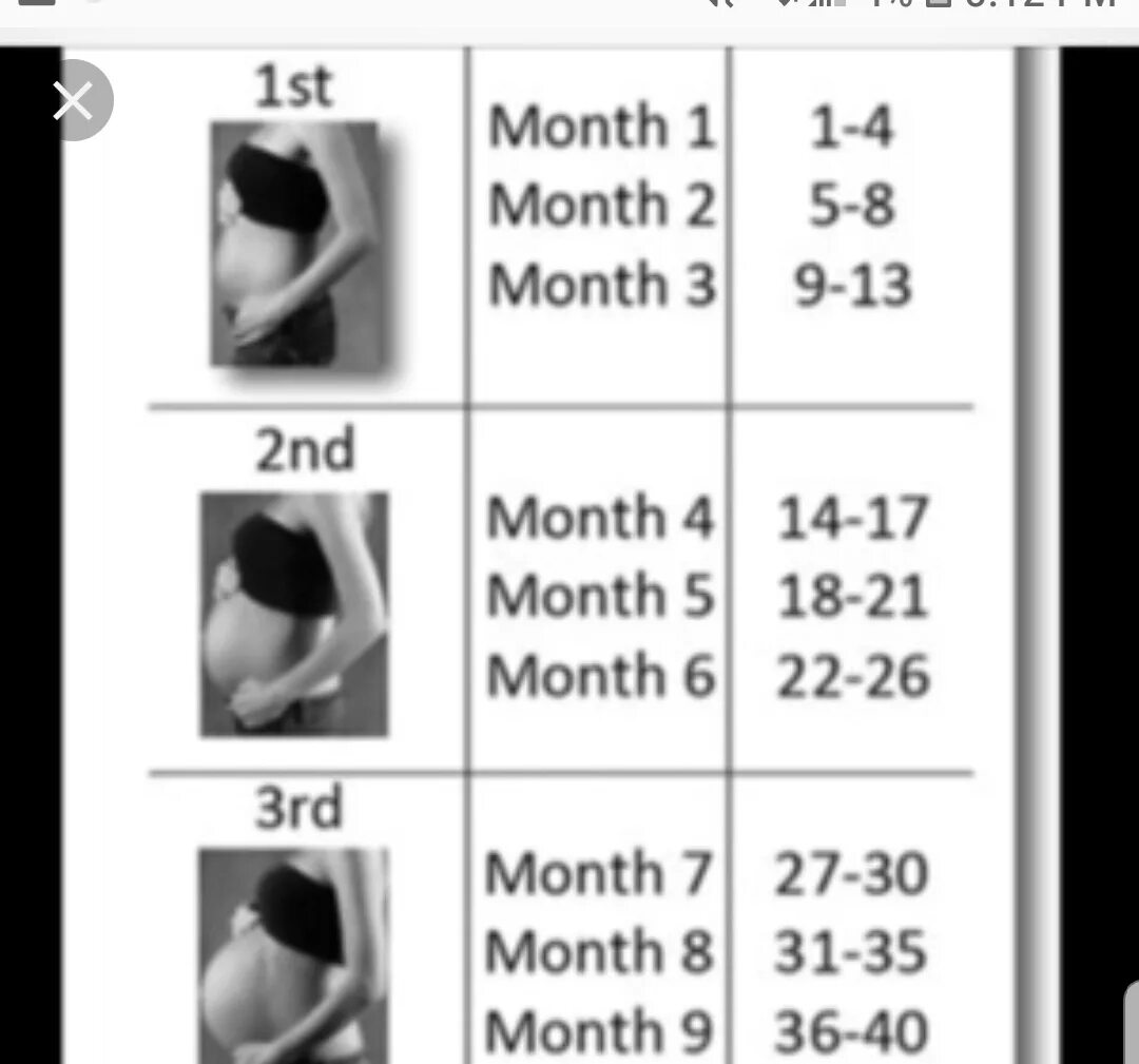 Недели беременности по месяцам таблица. Сколько месяцев беременности по неделям. 27 Недель беременности сколько это месяцев. Триместры беременности по неделям.