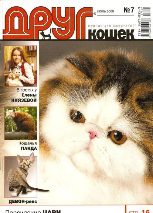 Сайт журнала друг. Журнал про кошек. Журнал друг кошек. Журнал про кошек для детей. Друг детей журнал.