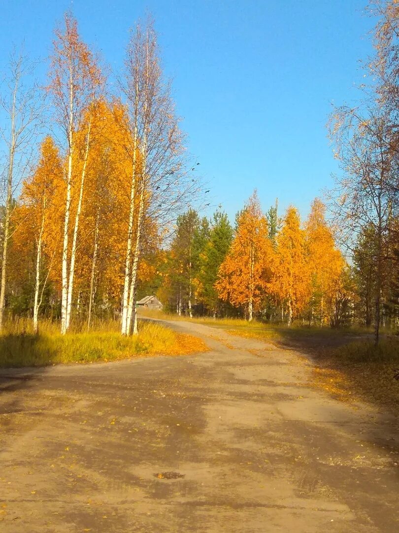 Усогорск Республика Коми. Сыктывкар Усогорск. Сыктывкар осень. Природа Усогорска.