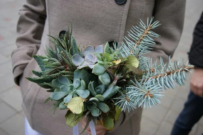 пихта нобилис в вазе. нобилис ветка заснеженная. новогодняя флористика 2022. ель канадская нобилис композиция. нобилис в горшке.