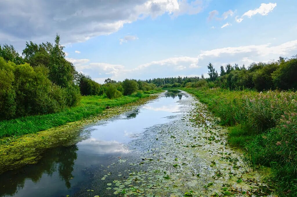 Петербург гдов. Река Яя Кемеровская область. Река Гдовка. Гдов река. Река Гдовка летом.