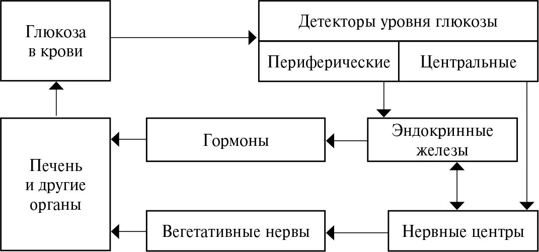 Схема регуляции уровня сахара в крови. Регуляция уровня Глюкозы в крови схема. Механизмы поддержания постоянной концентрации Глюкозы в крови. Схема поддержания уровня Глюкозы в крови.