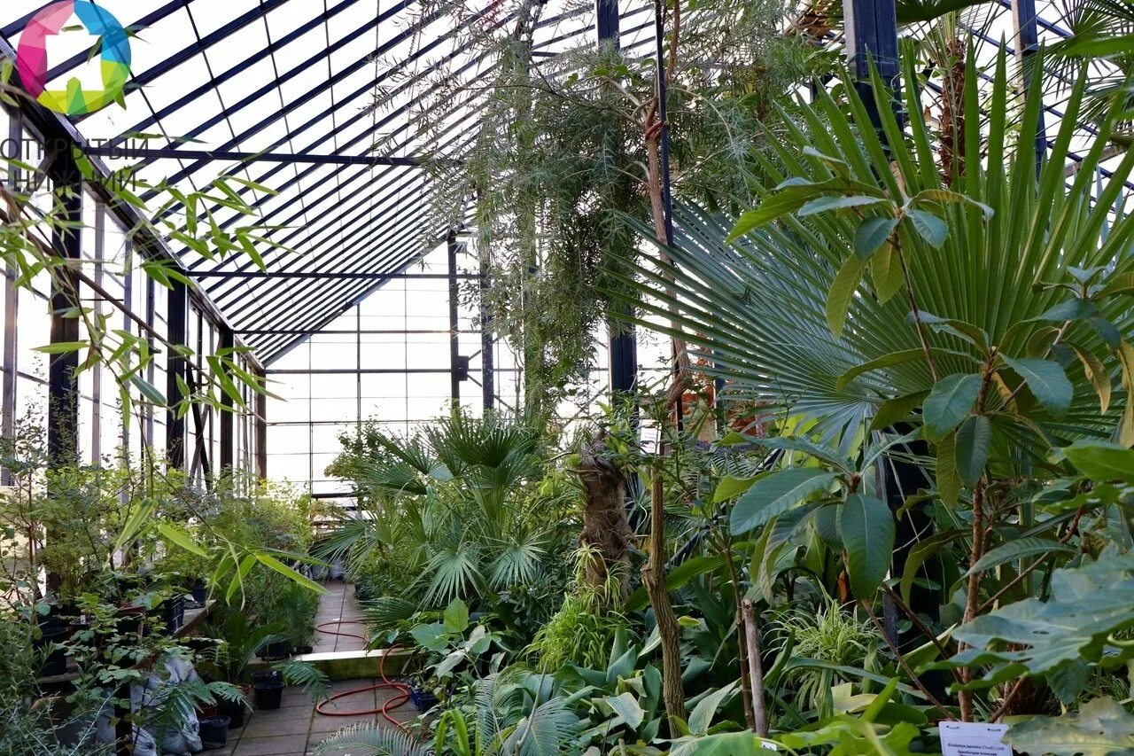 Полярно-альпийский ботанический сад-институт им. Полярно альпийский ботанический сад. Полярно альпийский ботанический сад. Н. Ботанический сад кировск мурманская область.