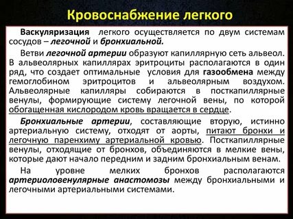 Особенности кровообращения легких