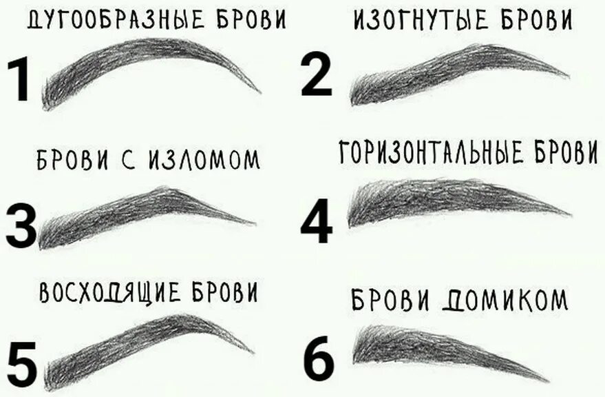 Что означают брови. Форма бровей. изогнутые брови. брови с изломом рисунок. разновидности формы бровей.