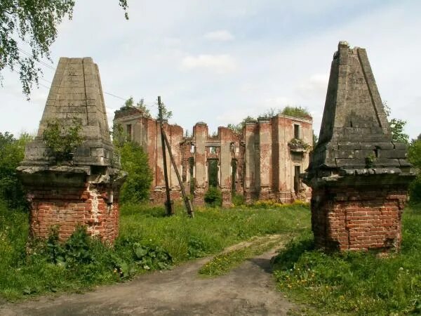 Петровское лен обл. Усадьба петровское руины. замок петровское алабино. алабино развалины. развалины усадьбы в петровском.