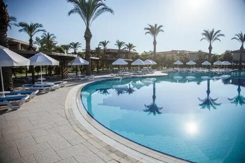 Palm garden 4