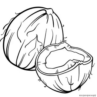Дыня кокос