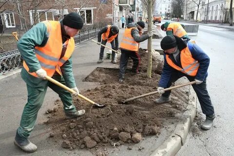 Посадки казань