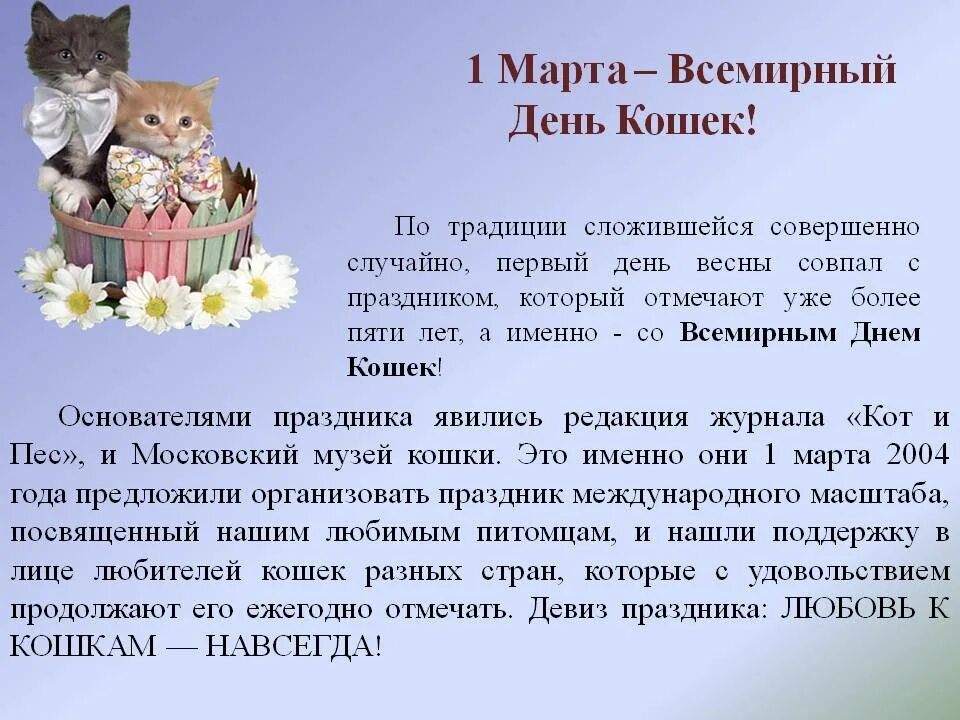 День кошек история праздника