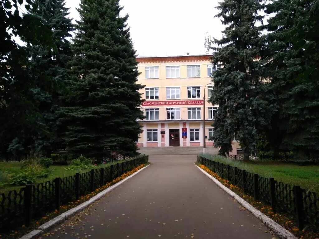 аграрный колледж коломна официальный сайт. козлова. коломенский аграрный колледж имени. козлова. т.