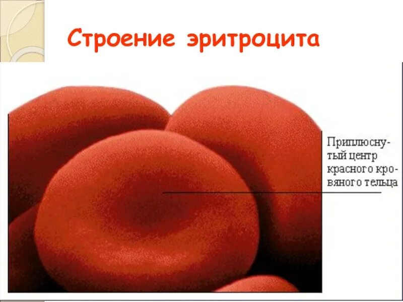 Строение эритроцита человека. Строение эритроцитов. Строение эритроцитаоцита. Строение эритроцита человека схема.