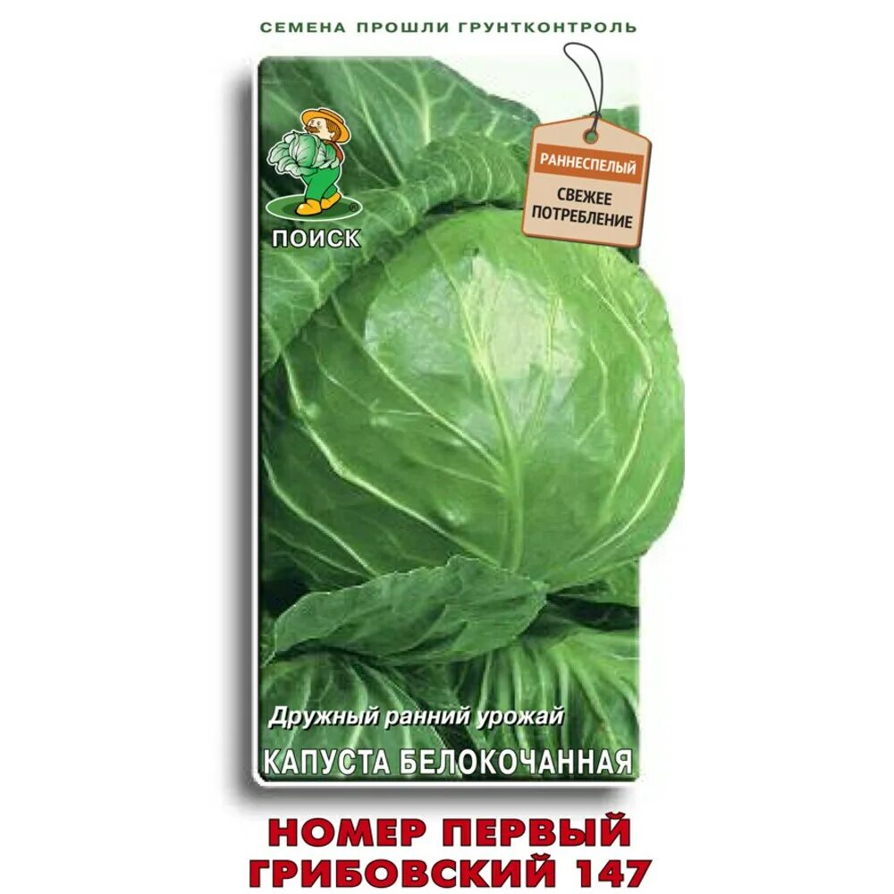 Капуста номер первый грибовский 147. Капуста белокочанная номер первый Грибовский 147. Капуста ранняя Грибовская 147. Капуста белокочанная номер 1 Грибовский 147.