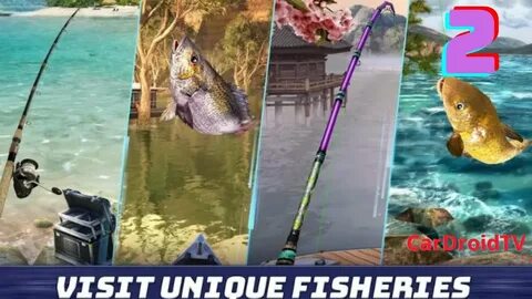 Fish clash