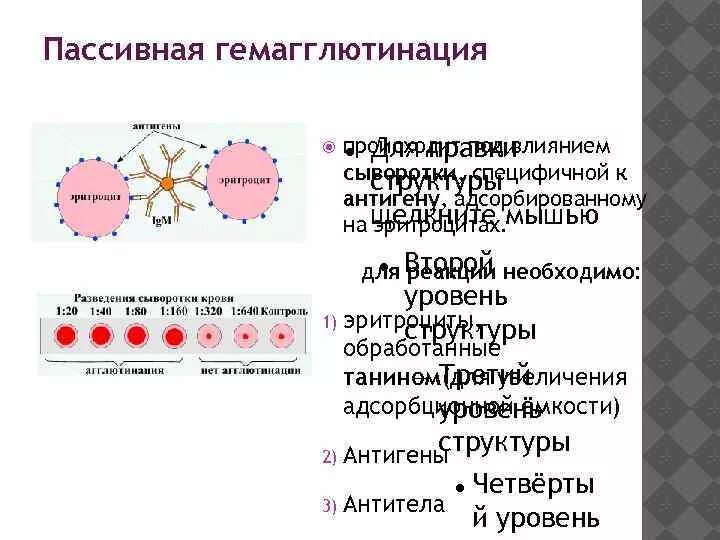 Гемагглютинация антигены