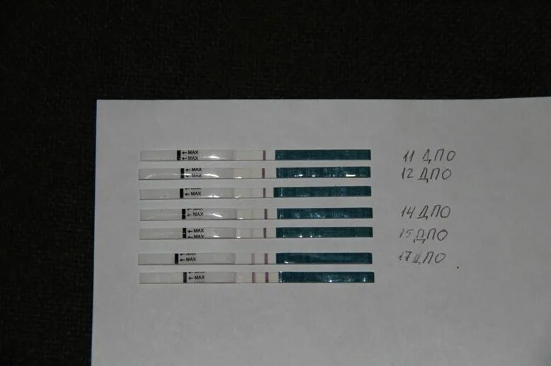 11 ДПО тест. Тест на 28 ДЦ 11 ДПО. 11 День ДПО тест. 11 День после овуляции тест на беременность отрицательный. Фото после овуляция