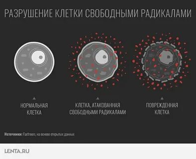 Процесс разрушения клеток
