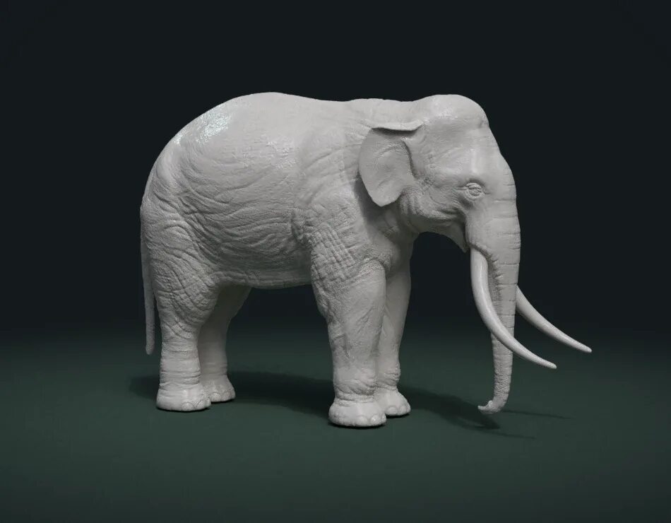 Fbx to stl. Слон 3d. 3д модели зверей. слон stl. фигурка стеготетрабелодон.