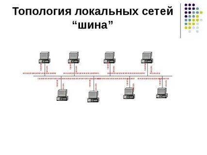 Шинная сеть