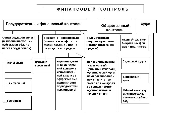 Государственные финансовые учреждения пример. Структура органов финансового контроля в РФ. Схема финансового контроля в РФ. Схема организации финансового контроля в РФ. Органы финансового контроля в РФ схема.