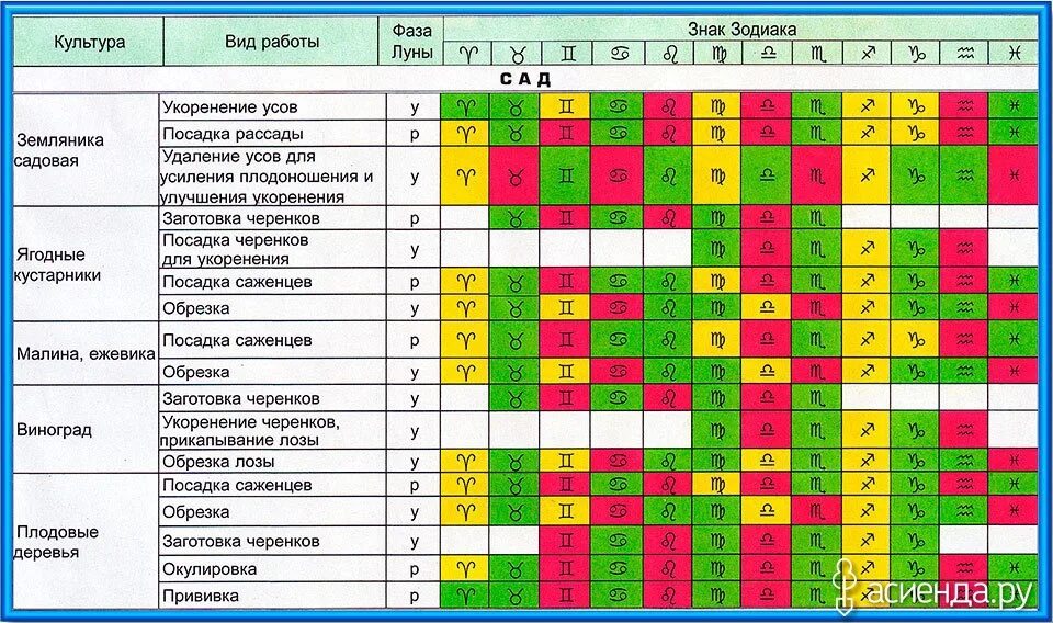 Плодородные знаки зодиака для посадки овощей