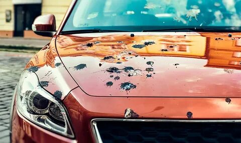 Чем отмыть птичий помет с автомобиля