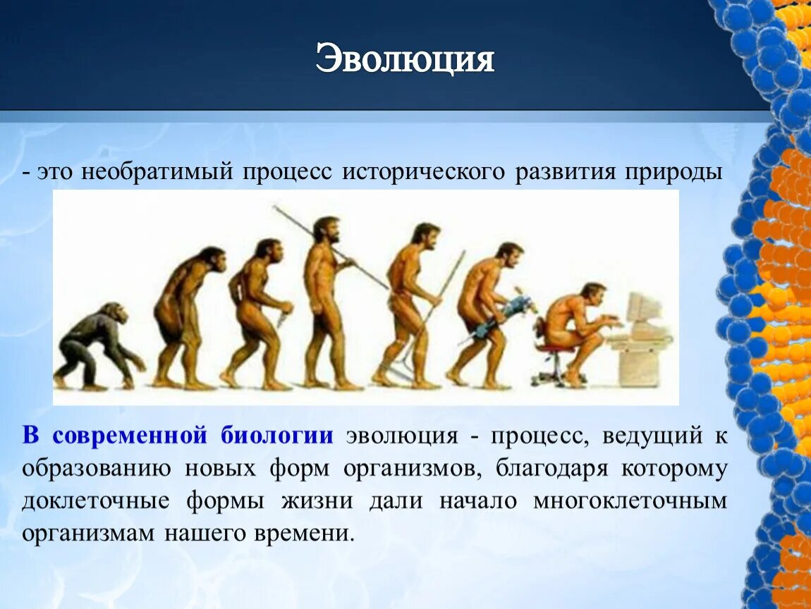 Эволюция. Процесс эволюции. Эволюция это необратимый процесс. Эволюция развития процесса.