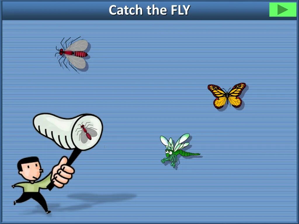 Fly catch. Catch the Fly. Catch the Fly 2. Catch a Fly game. Catching Flies.