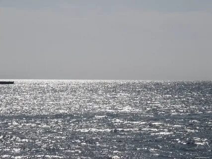 Sea 10