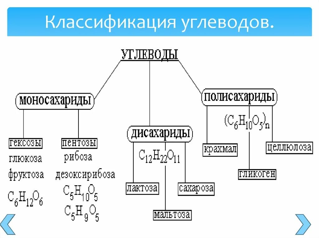 Таблица классификация углеводов 10 класс. Классификация углеводов схема. Классификация углеводов схема 10 класс. Классификация углеводов биохимия таблица.