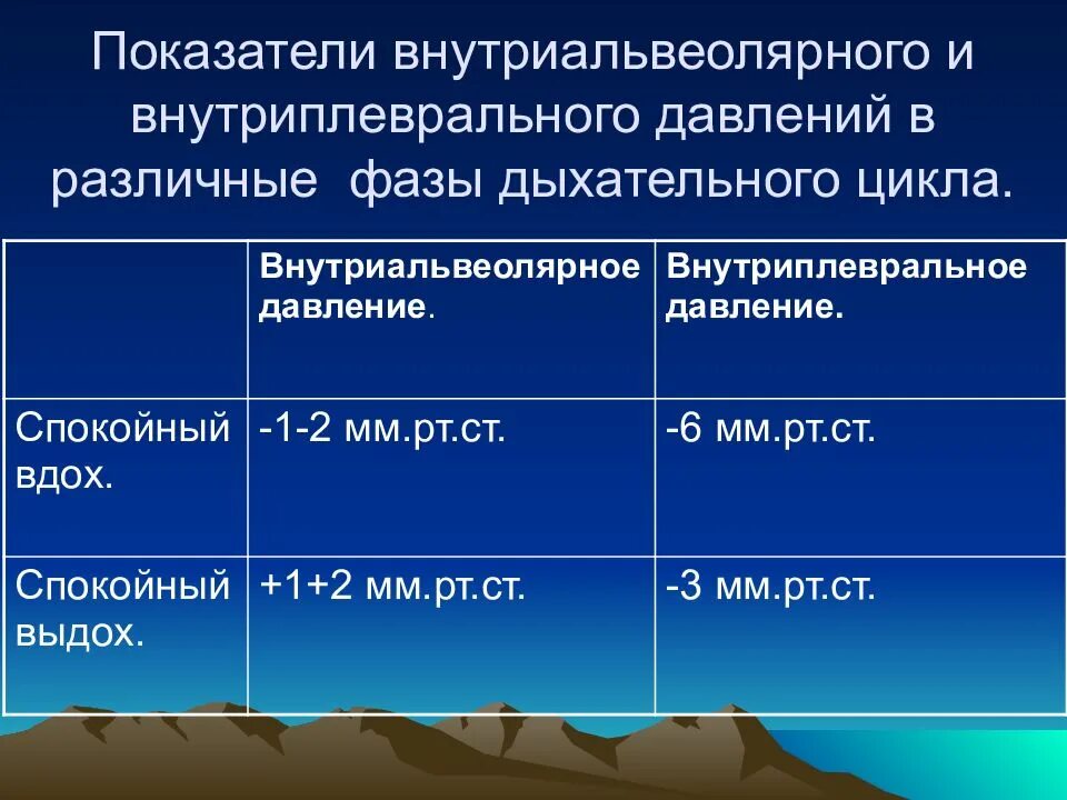 Давление в легких увеличивается при вдохе. Давление воздуха в разные фазы дыхательного цикла мм РТ ст. Внутриальвеолярное и внутриплевральное давление. Давление в разные фазы дыхательного цикла. Изменение альвеолярного и внутриплеврального давления.