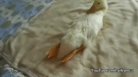 Кровать для уточки