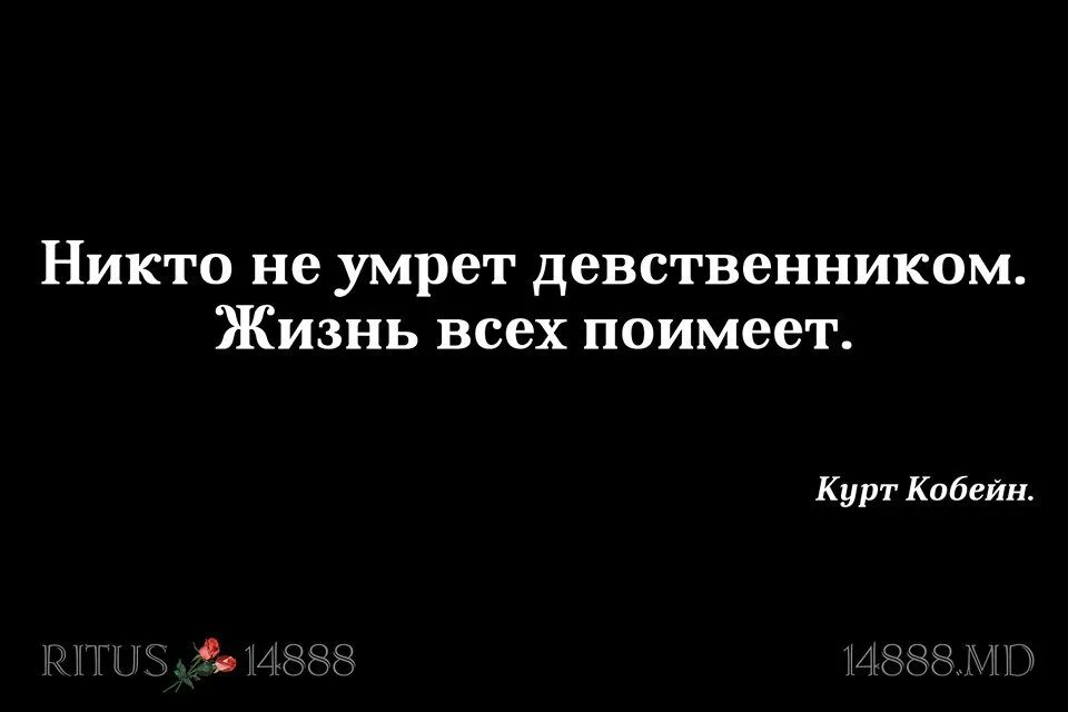 Всю жизнь девственник. Никто не останется девственником жизнь отымеет всех. Картинки цитаты в этой жизни никто не останется девственником. Никто не девственник жизнь нас обладала. Всю жизнь быть девственником мальчиком.