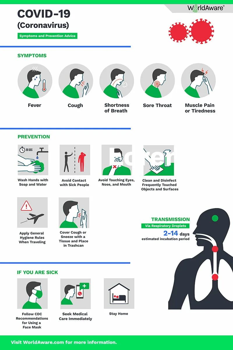 Коронавирус уф. Covid-19. Коронавирус Covid-19. Covid 19 Symptoms. Coronavirus Symptoms.