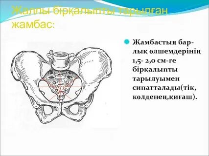 Құл Лизун және көптеген жезөкшелер порно видео