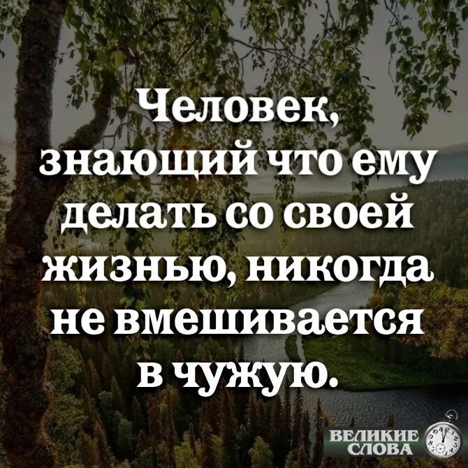 Что человек никогда не сделает. Человек знающий что ему делать со своей собственной жизнью. Знающий человек. Человек знающий что делать. Человек не вмешивается в чужую человек знающий.