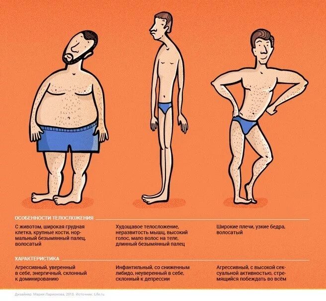 Бодибилдер с узкими плечами. Костя узкий. Костя цзю чемпион. Костя костя мензелинск. Костя узкий.