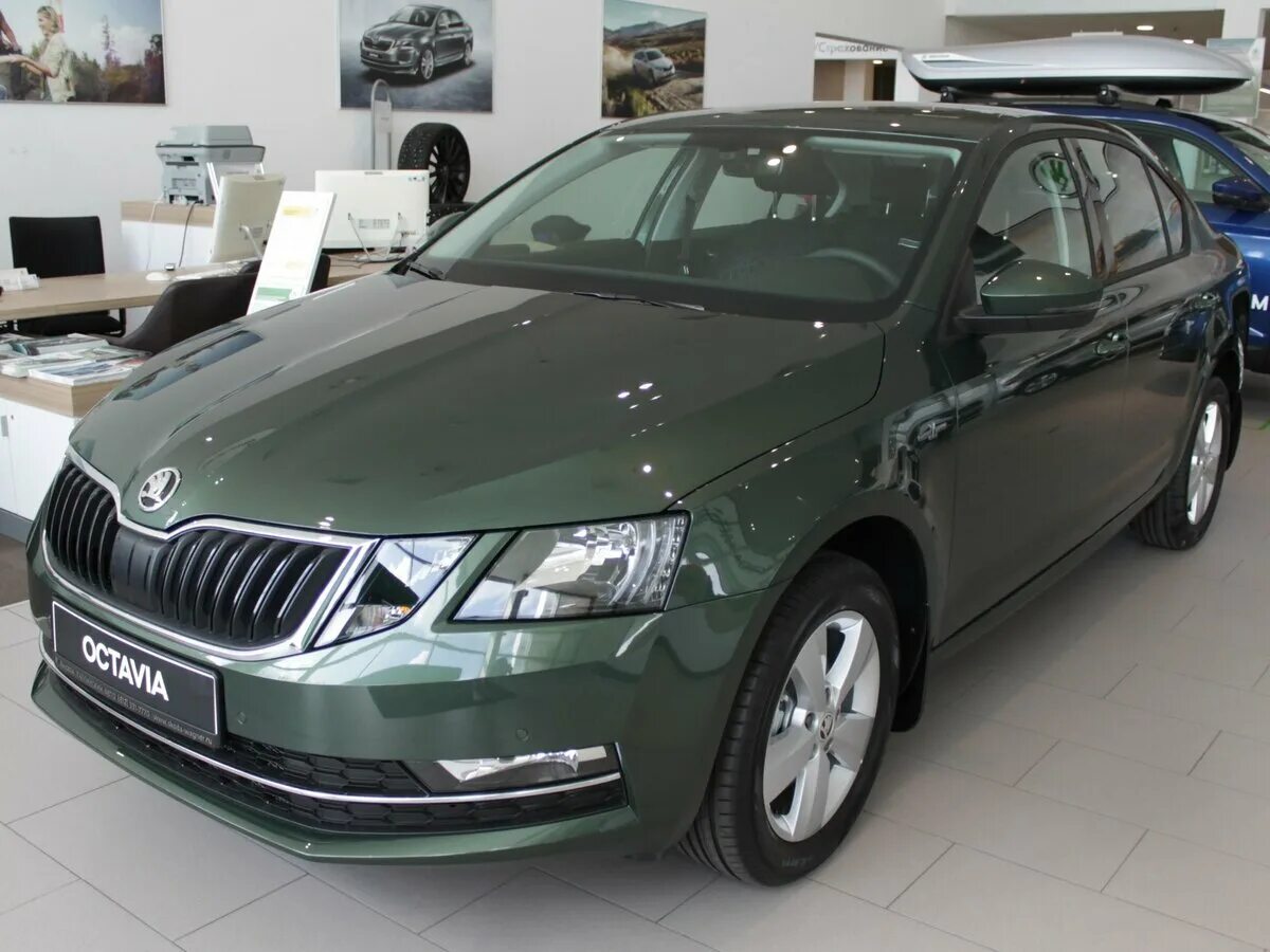 Skoda Octavia a7 зеленая. Škoda Octavia зеленая. Skoda Octavia 2033. Skoda octavia цвета