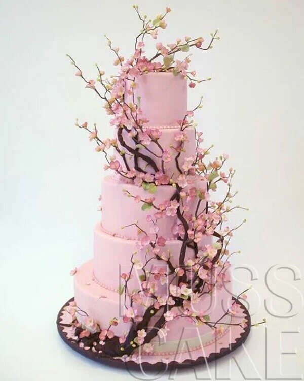 Свадебный торт с сакурой. Веточка цветов на торте. Свадебный торт в японском стиле.