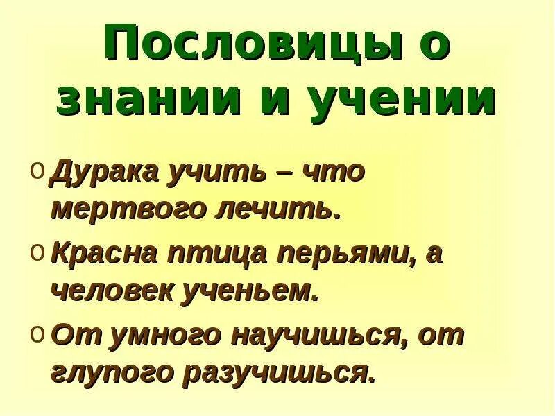 От умного научишься от глупого. Пословицы о знаниях. Поговорки об учении. Пословицы о школе. Пословицы об учении.