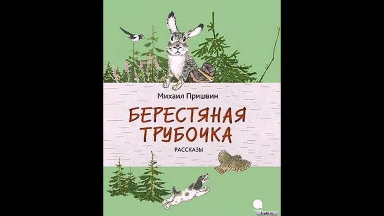 Я нашел удивительную берестяную трубочку. Книги Пришвина берестяная трубочка. Рассказ берестяная трубочка пришвин.