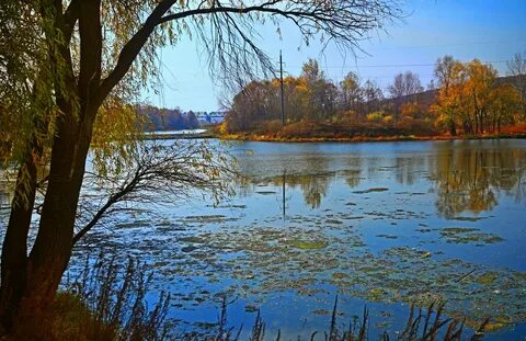 Прогноз на 14 дней борисоглебск
