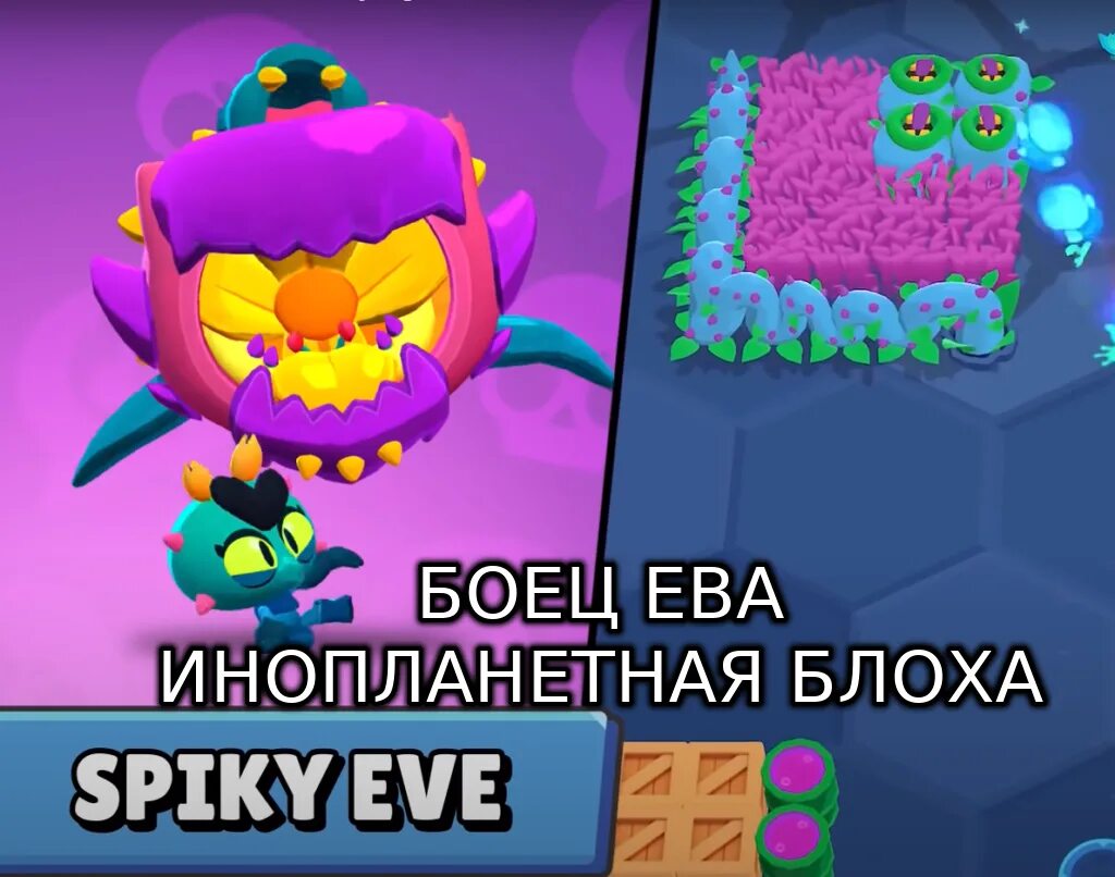 Новая версия бравла 2024. Чемпионат браво старс 2022. Новая версия бравла 2024. Новая версия бравла 2024. Браво старс.